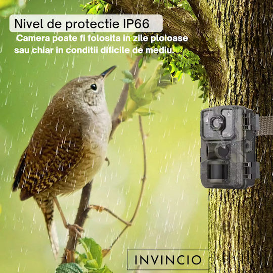 Invincio Camera de vânătoare Cu vedere pe timp de noapte Cu detectare de mișcare