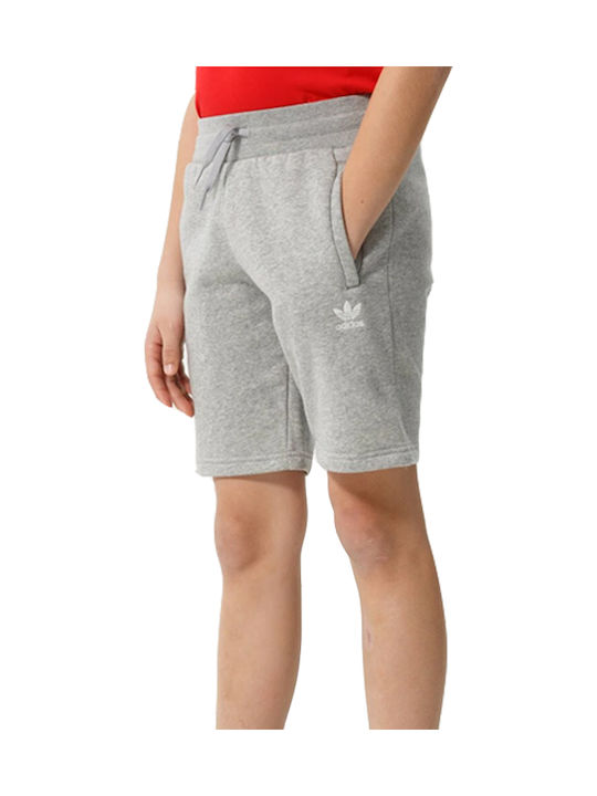 Kids' Athletic Shorts/Bermudas Adicolor Gray