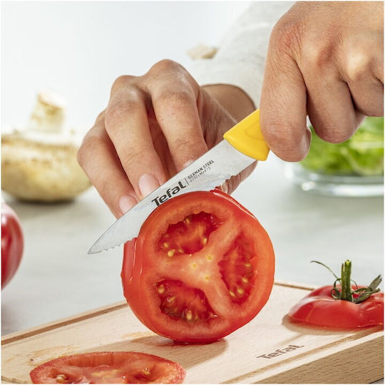 Tefal Colorfood Set Cuțite Din Oțel Inoxidabil 3 Bucăți