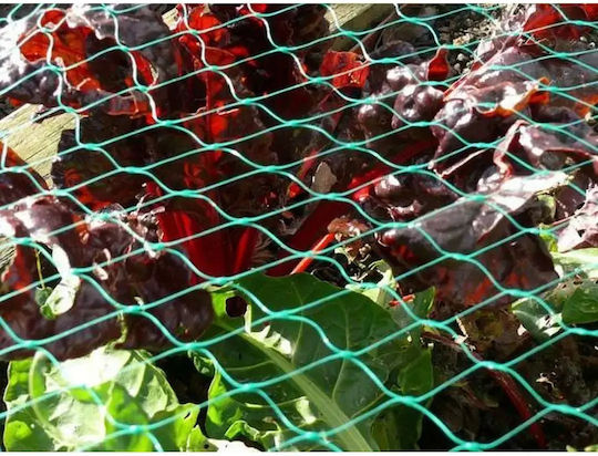 Verk Group Repellent Net Birds 4x10m
