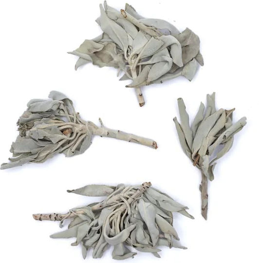 Purification White Sage Smudge Leaves White Sage Leaves 30g