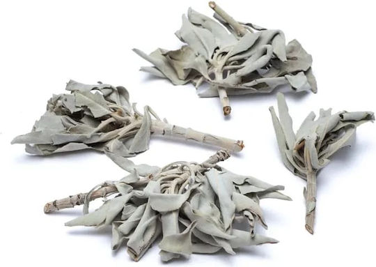 Purification White Sage Smudge Leaves White Sage Leaves 30g