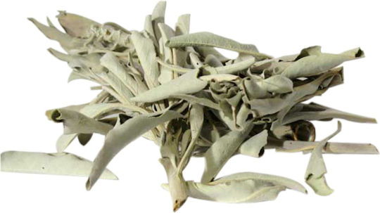 Purification White Sage Smudge Leaves White Sage Leaves 30g