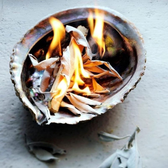 Purification White Sage Smudge Leaves White Sage Leaves 30g
