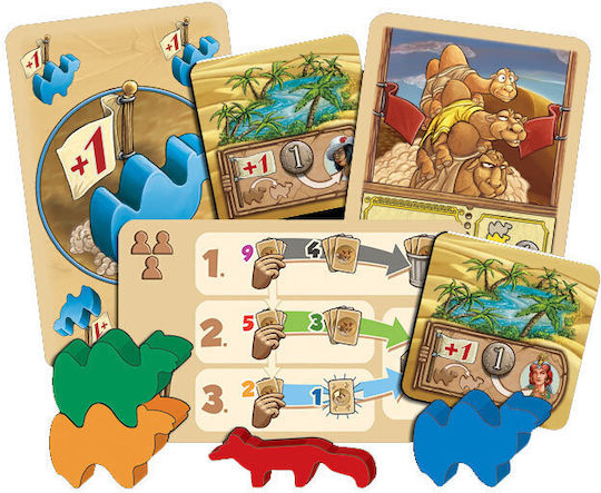 Board Game Camel Up for 2-6 Players 8+ Years Old (EN) Kaissa