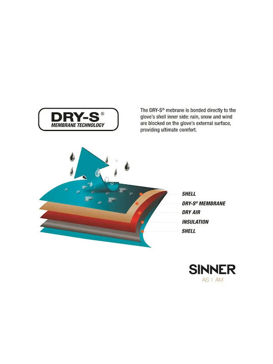 Sinner Phoenix Παιδικά Γάντια Σκι & Snowboard Μαύρα