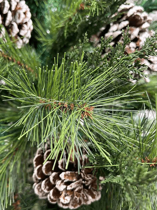 Christmas Tree Alpine with Pinecones 180cm with 605 Branches