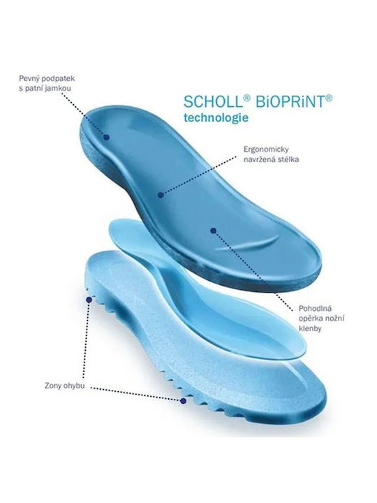 Scholl Scholl