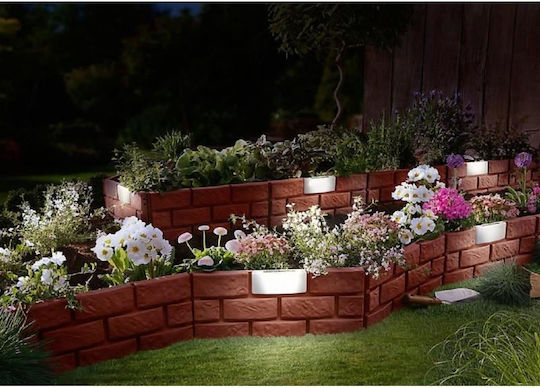Artool Spiked Solar Light 42cmx29cmcm
