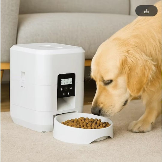 Distribuitor Automat Din Plastic De Mâncare Pentru Câine Și Pisică 2lt