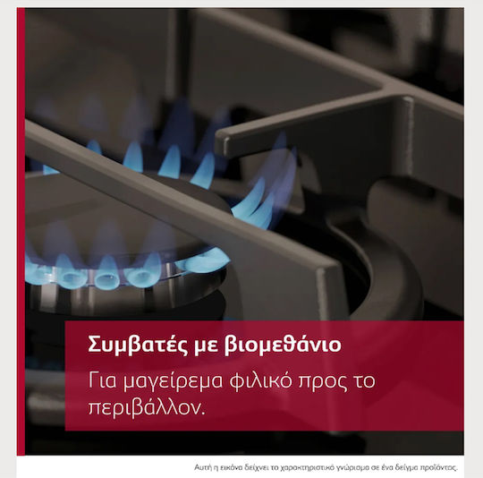 Neff N 70 Котлон на природен газ Автономен 59x52εκ.
