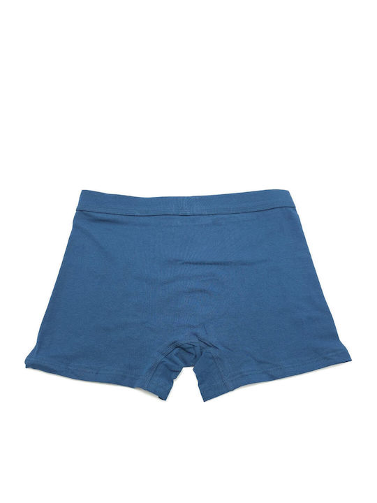 Boxer Pentru Bărbați Albastru