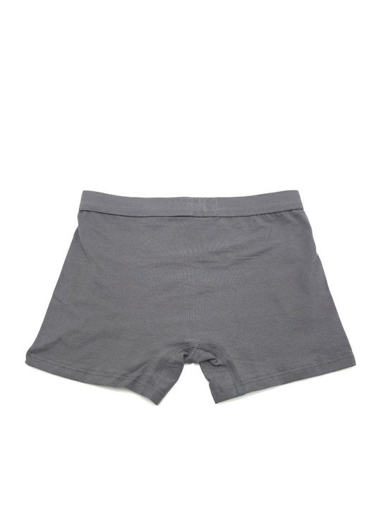 Herren Boxershorts Anthracite Grey 1Packung