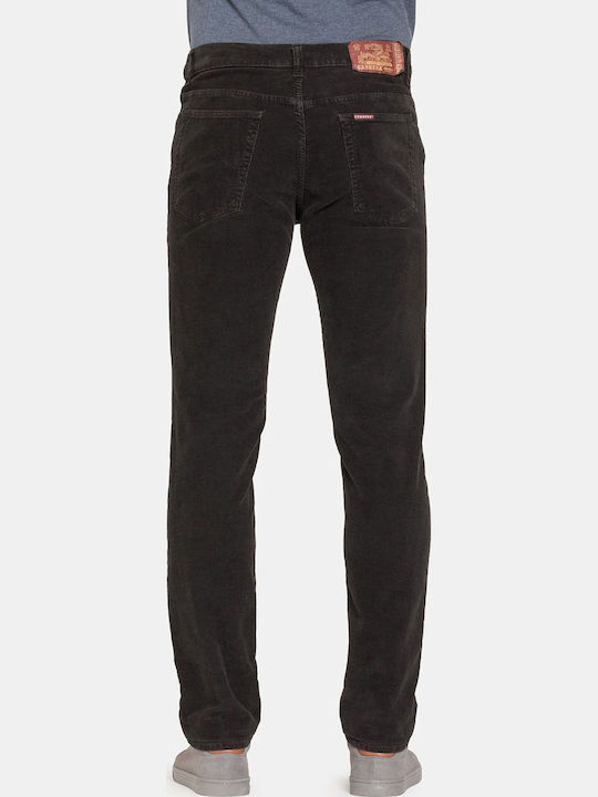 Carrera Trousers Elastic in Regular Fit Black
