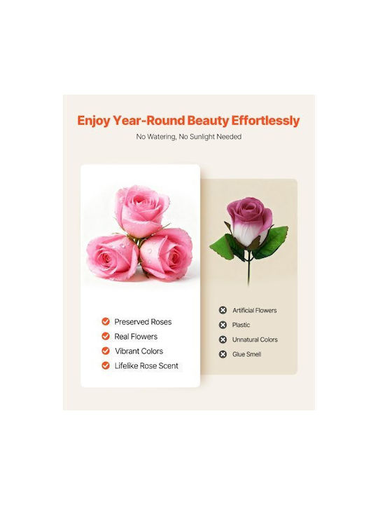 Vevor Eternal Flowers 50 Preserved Roses Box