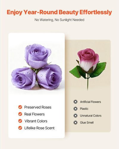Vevor Forever Flowers 50 Eternal Roses Box