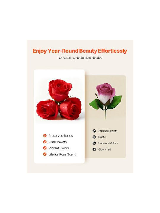 Vevor Allheiliger Rosen 27 Getrocknete Rosen Vevor Allheiliger Rosen 27 Getrocknete Rosen