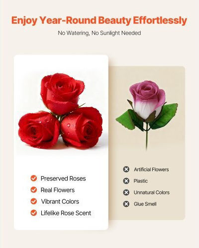 Vevor Вечни Рози Forever Flowers 100 Запазени Рози Сърце Vevor Вечни Рози Forever Flowers 100 Запазени Рози Сърце