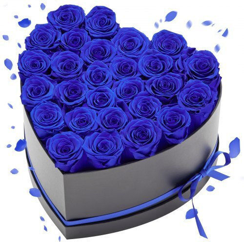 Vevor Forever Flowers 27 Preserved Rose Heart