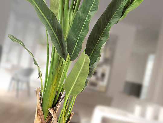 Palma Viajero 281751 Plantă Artificială Înălțime 240 Cm – Plantă Artificială De 240 Cm Palma Viajero 281751 Plantă Artificială Înălțime 240 Cm – Plantă Artificială De 240 Cm