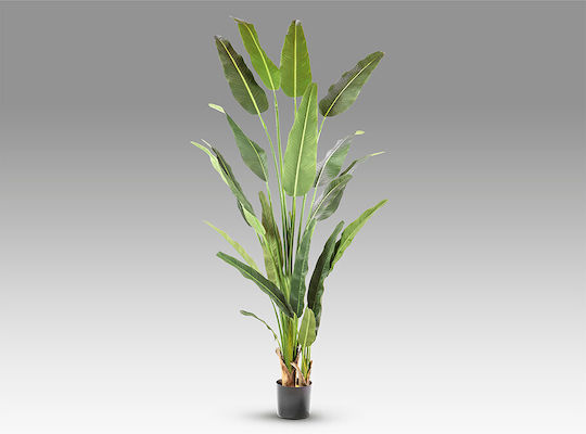 Palma Viajero 281751 Artificial Plant H240 – Τεχνητό Φυτό Ύψους 240 Cm