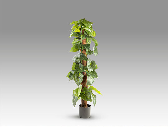 Taro 281126 Изкуствено Растение Височина 150 – Изкуствено Растение Colocasia Esculenta