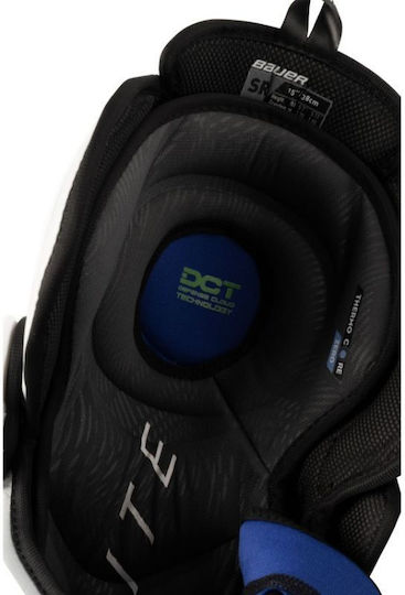 Bauer Vapor
