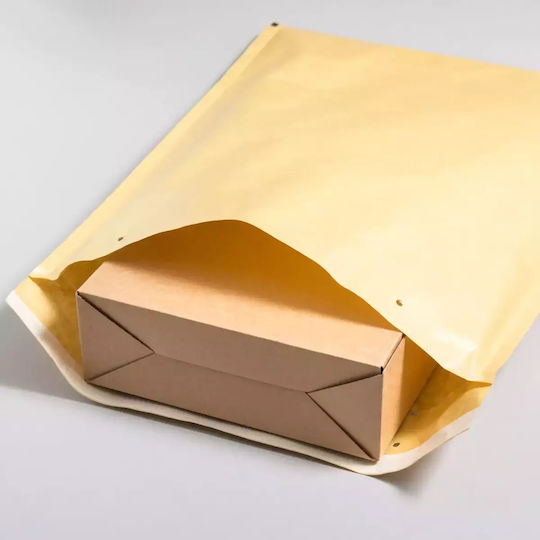Aerofile Mailing Envelope Catalog Envelope Padded 10 Pieces 24x35cm No6