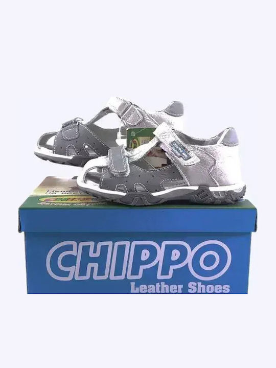 Chippo