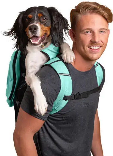K9 Sport Sack Σακίδιο Πλάτης για Μεταφορά Σκύλου Γκρι