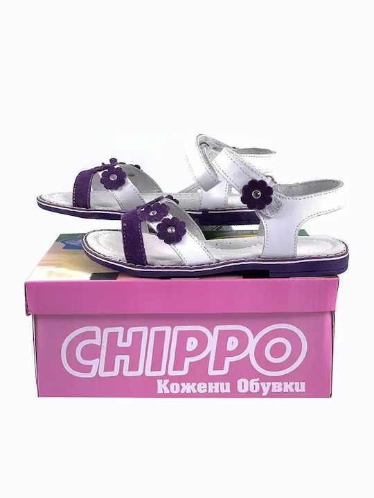 Chippo