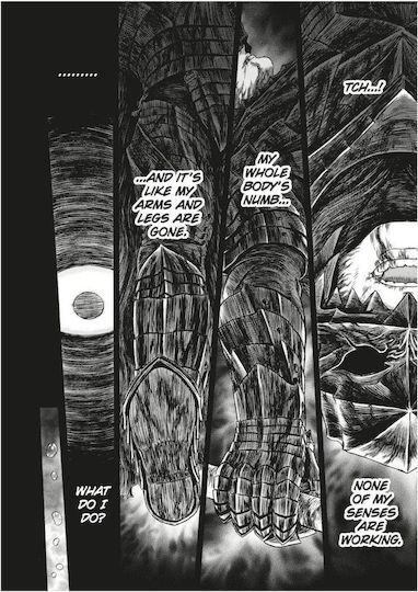 Berserk Deluxe Vol. 13