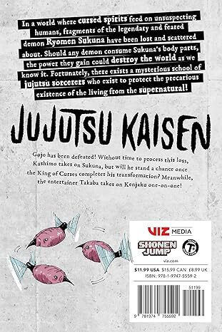Jujutsu Kaisen Vol. 27