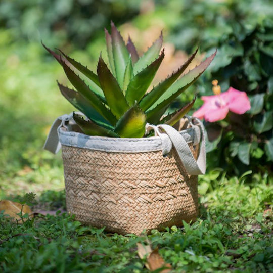 Artekko Plant Pot Concrete Beige 16x16x14cm 2pcs