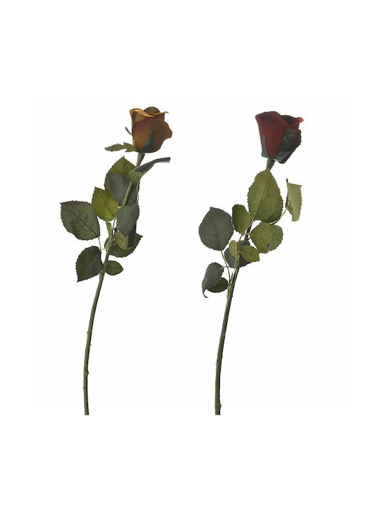 Τριαντάφυλλο 71cm 12τμχ Iliadis