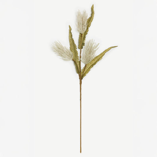 Pampas grass 83cm 12τμχ 031752 InTheBox