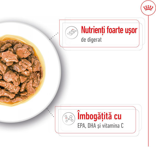 Royal Canin Υγρή Τροφή Σκύλων με Κρέας 12x85gr