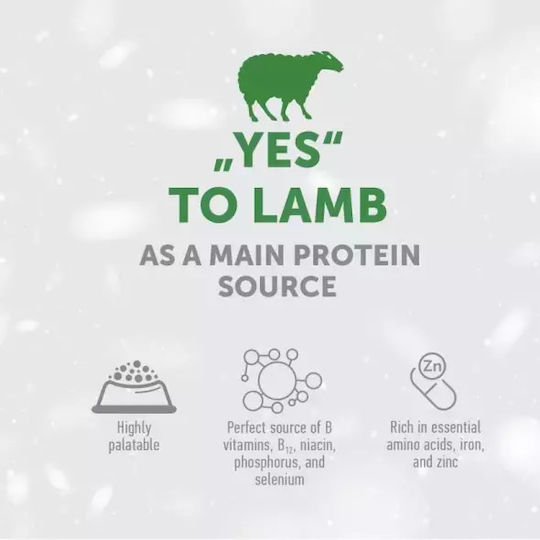Nature's Protection Superior Care Dog Treats without Grains with Lamb 150g