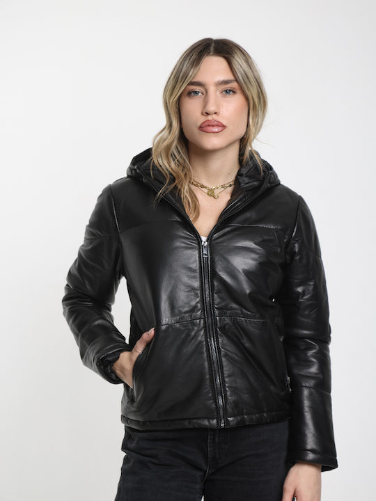 Newton Leather