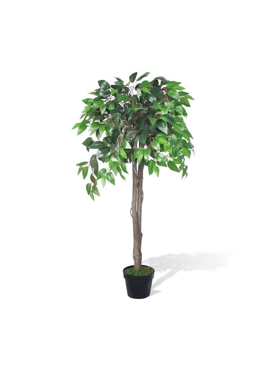 Φίκος σε Γλάστρα 60cm vidaXL