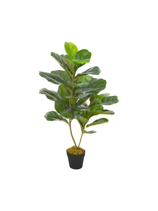 Φίκος σε Γλάστρα 45cm vidaXL