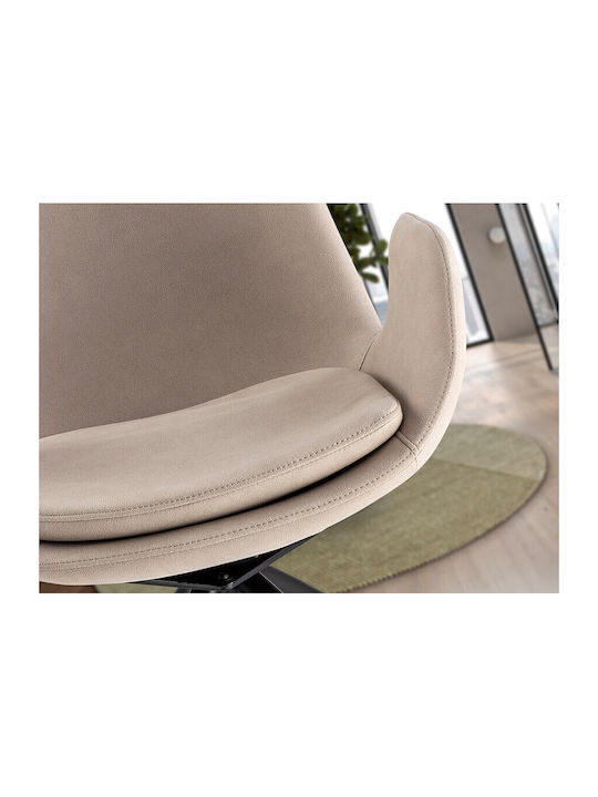 Dining Room Metallic Chair Beige
