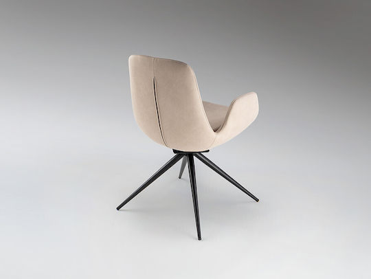Stühle Speisesaal Beige 1Stück 59xx55cm
