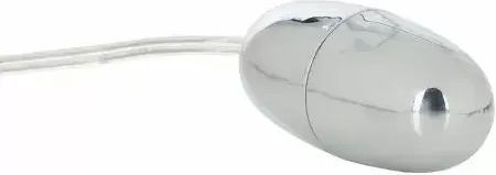 Mini Massager Calexotics 054227 10-355 Vibrating Bullet Controller 2 Speeds 6 X 3 Cm Silver