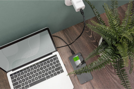 Digitus USB 2.0 Cable USB-C Male - USB-A Black 3m