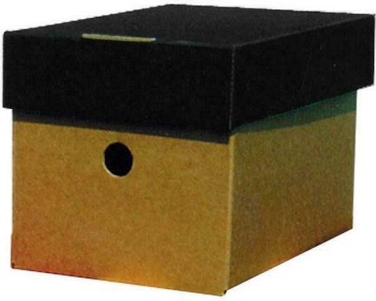 Next Classic Paper File Box with Lids 44x32x21cm 04075-09