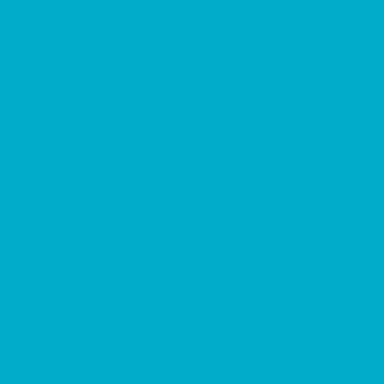 Royal Talens Art Creation Textile Liquid Craft Paint Turquoise for Fabric 5024 Blue 50ml 401450240