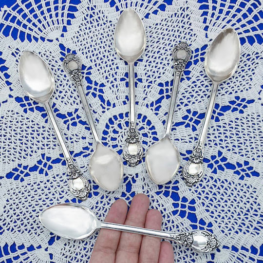 Savvas Design Σετ Κουτάλια Φαγητού Ανοξείδωτα Ασημί 15cm 6τμχ