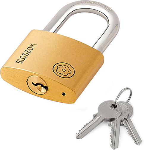 Blossom BC90 Steel Padlock Brass with Key 30mm 1pcs