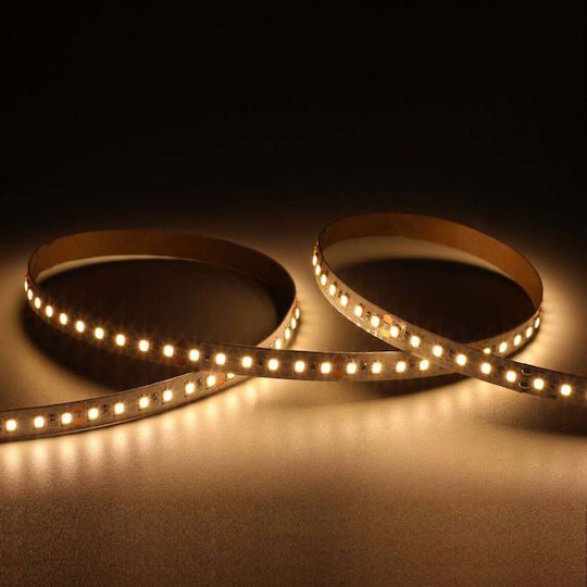 Cubalux Водоустойчива LED Лента Tωra 24V Топло бяло Светлина 50м